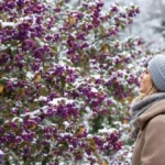 Featured image placeholder 16:9