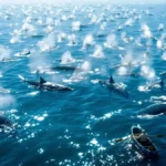 Featured image placeholder 16:9