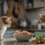 Featured image placeholder 16:9